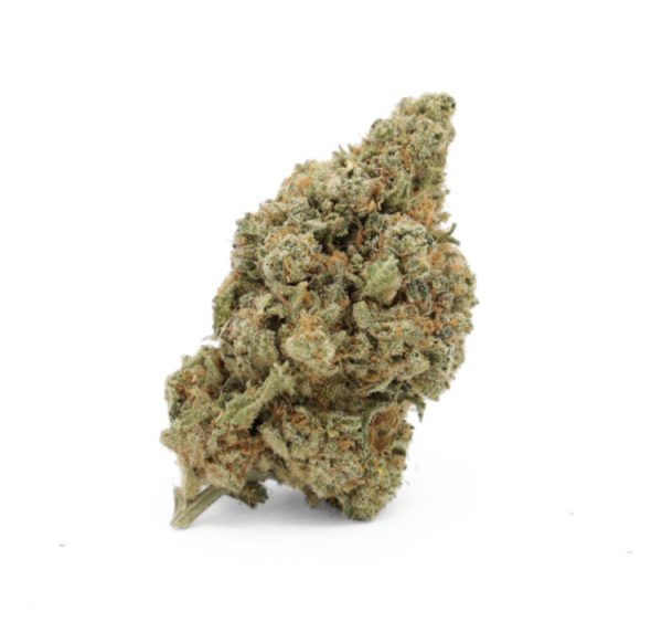 AMNESIA HYDROPONIE 30%  MCP-N