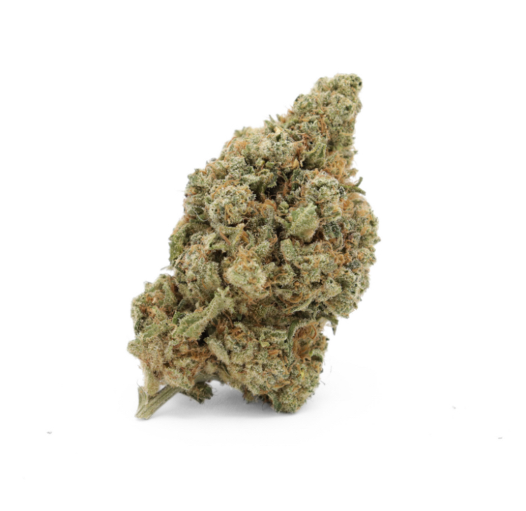 AMNESIA HYDROPONIE 30% MCP-N