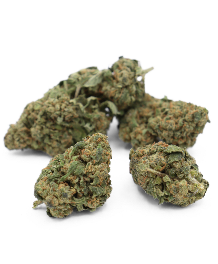 Green Gelato INDOOR 30% MCP-N