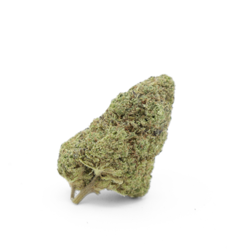 Plutonium OG HYDROPONIE 2% Muscimole