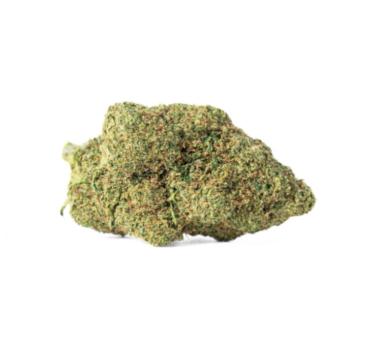 White Widow HYDROPONIE 10% CSA-14