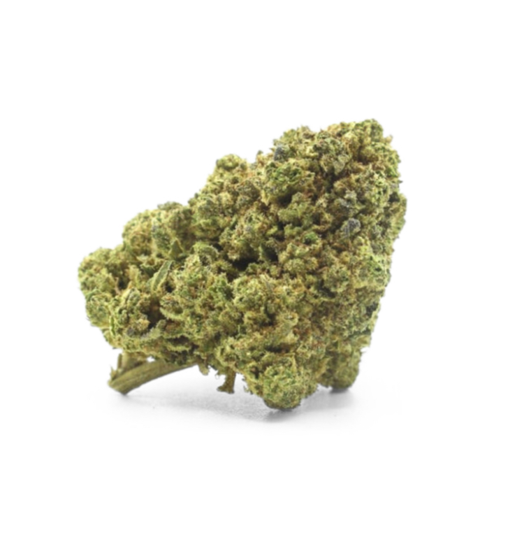 Tropical Kush INDOOR 10% 10-OH-HHC