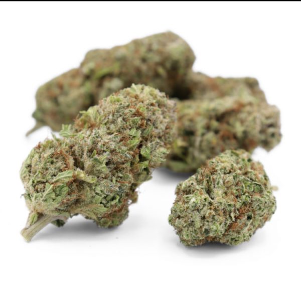 OG Kush HYDROPONIE 10% CSA-14