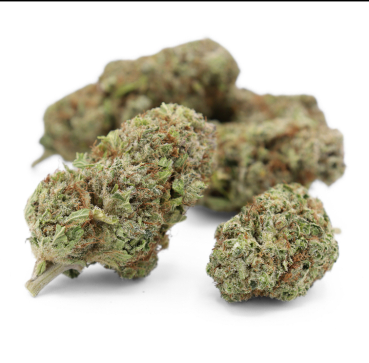 OG Kush HYDROPONIE 10% CSA-14
