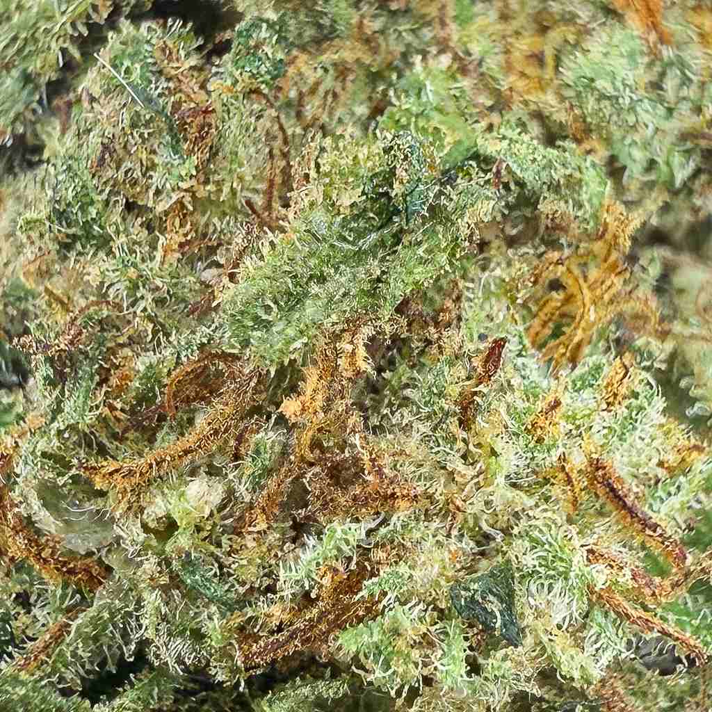 Berry Cheese Glasshouse 30% THCX - Image 2